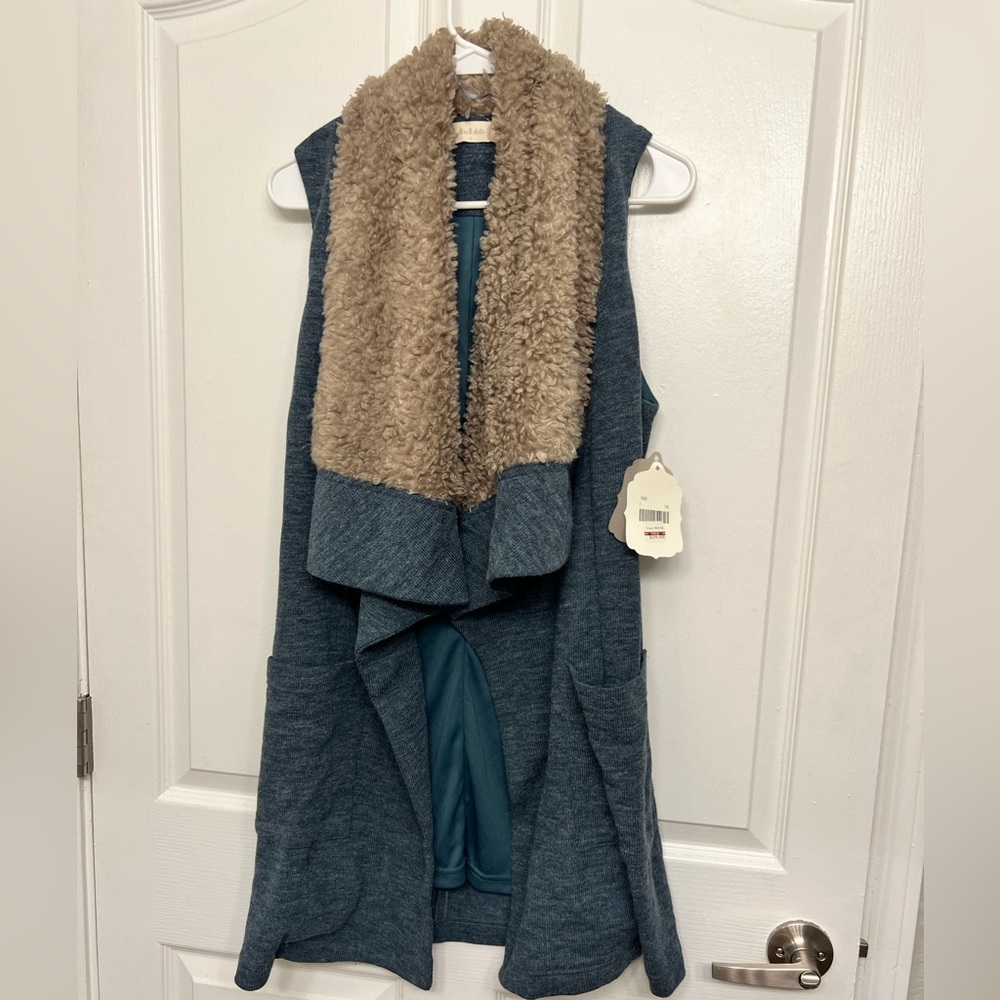 Altar’d State blue fur sweater vest